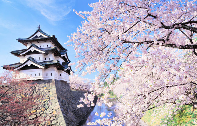 4 Secret Travel Hacks To Travel Cheaply In Japan